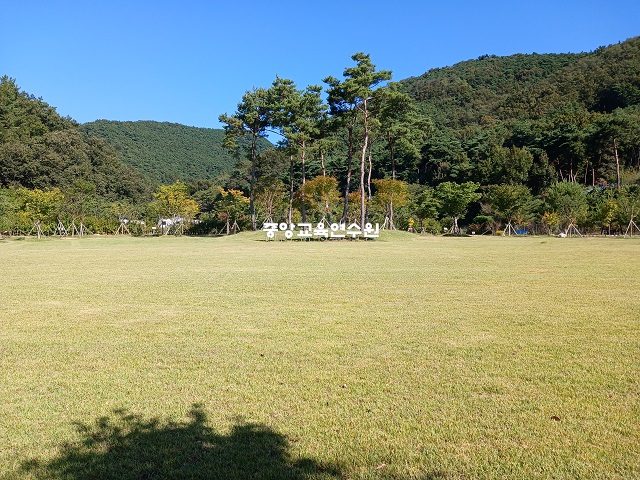 잔디광장(대구)