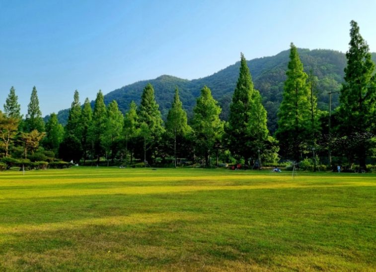 치명자산성지 평화의 전당 잔디광장(요안루갈다광장)