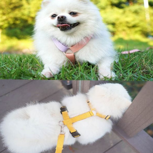 가벼운 강아지 하네스 산책용 반려견 하네스 조절형 소형견