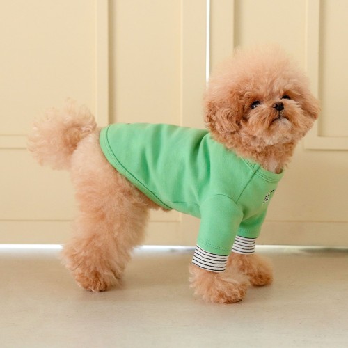 강아지 봄옷 소형견 실내복 강아지옷 레이어드 티셔츠