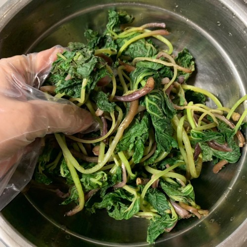 하동 악양 자연산 봄나물 취나물 머위순 머위쌈용 세척달래 쑥 쑥부쟁이 생고사리 깐쪽파 두릅 엄나무순 가죽
