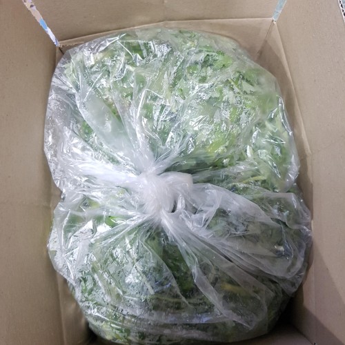 여수 금오도 노지 방풍나물 산지직송 향긋한 제철 봄나물 500g