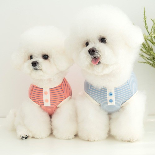 강아지 산책 봄 옷 데일리 롤리스트라이프