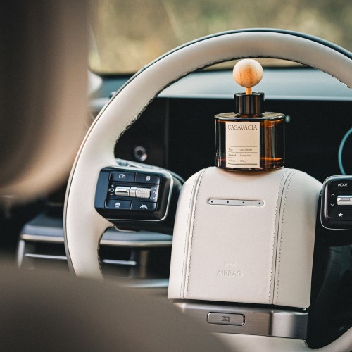 샹스 오 비브 차량용 방향제 디퓨저 Eau de Parfum(25%) 봄 상큼한