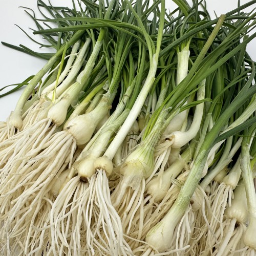 국내산 봄 제철 달래 향긋한 달래무침 달래장용 흙 세척 300g