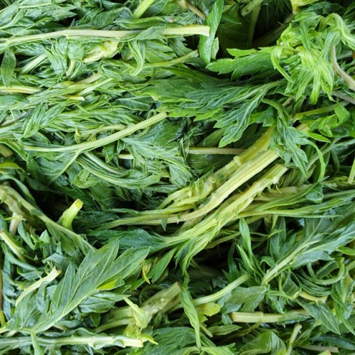 친환경 삶은쑥 1kg 종류다양 봄나물