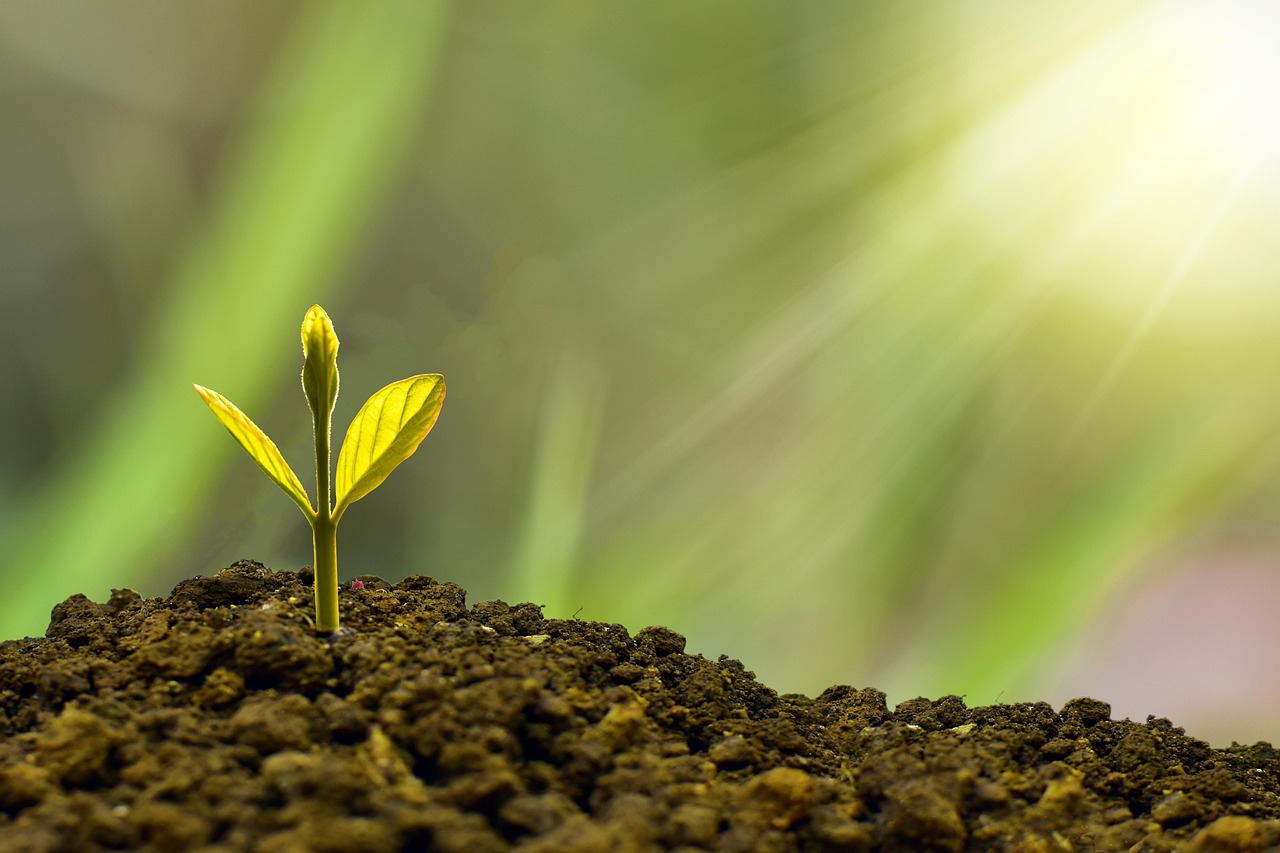 financial growth