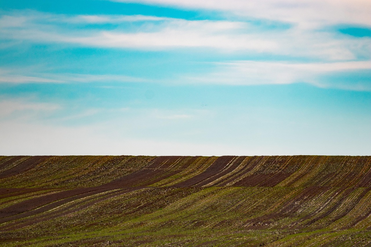 land investment plot