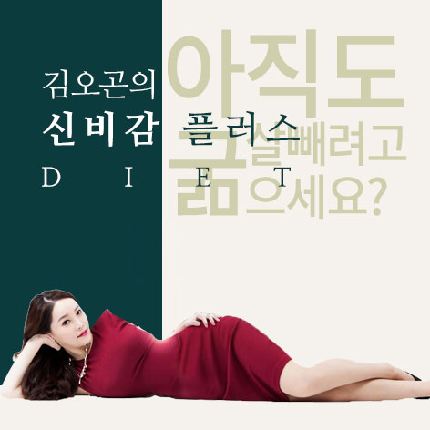 신비감 플러스 다이어트
