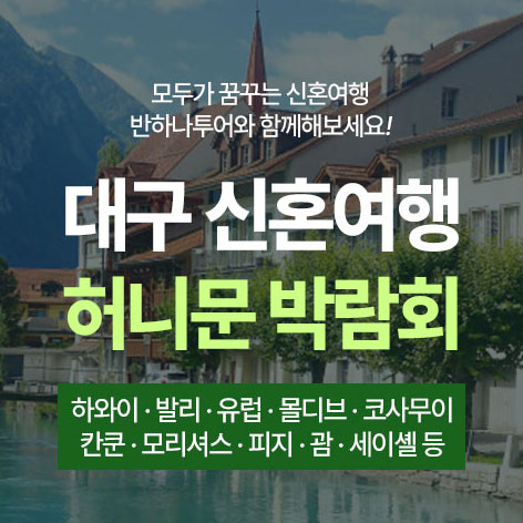 대구 반하나 허니문박람회