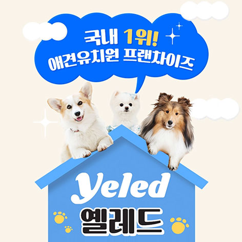 애견유치원&호텔 옐레드