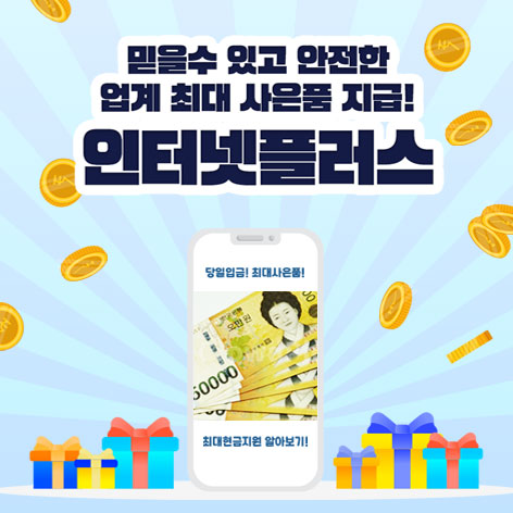 인터넷플러스