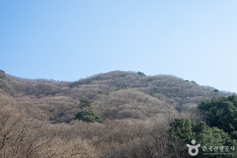 축령산 전경