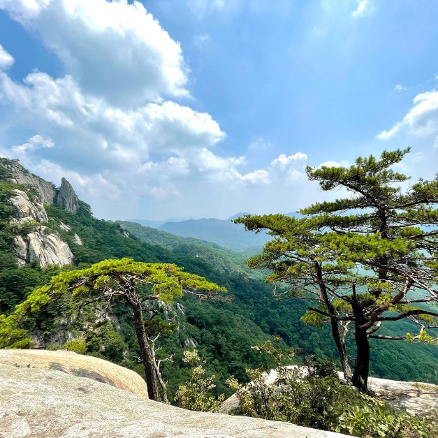 용화산 전경