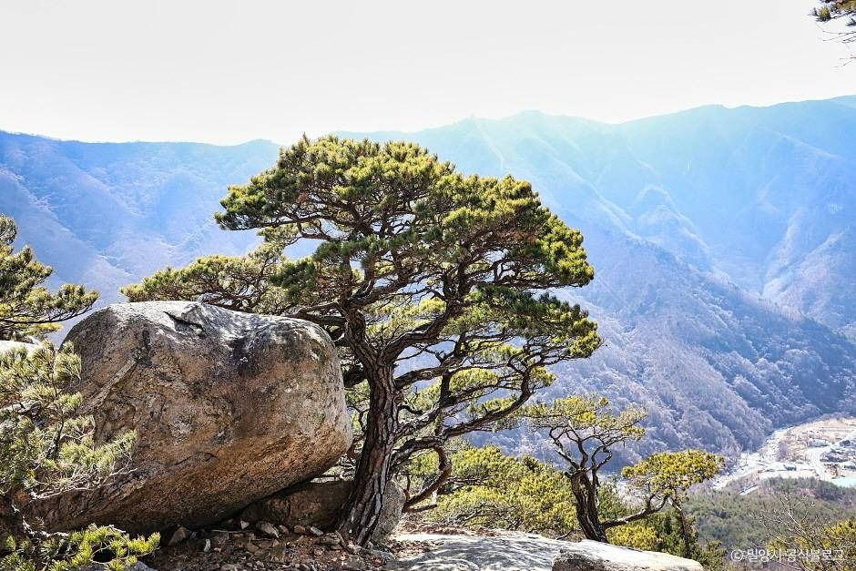 가지산 전경