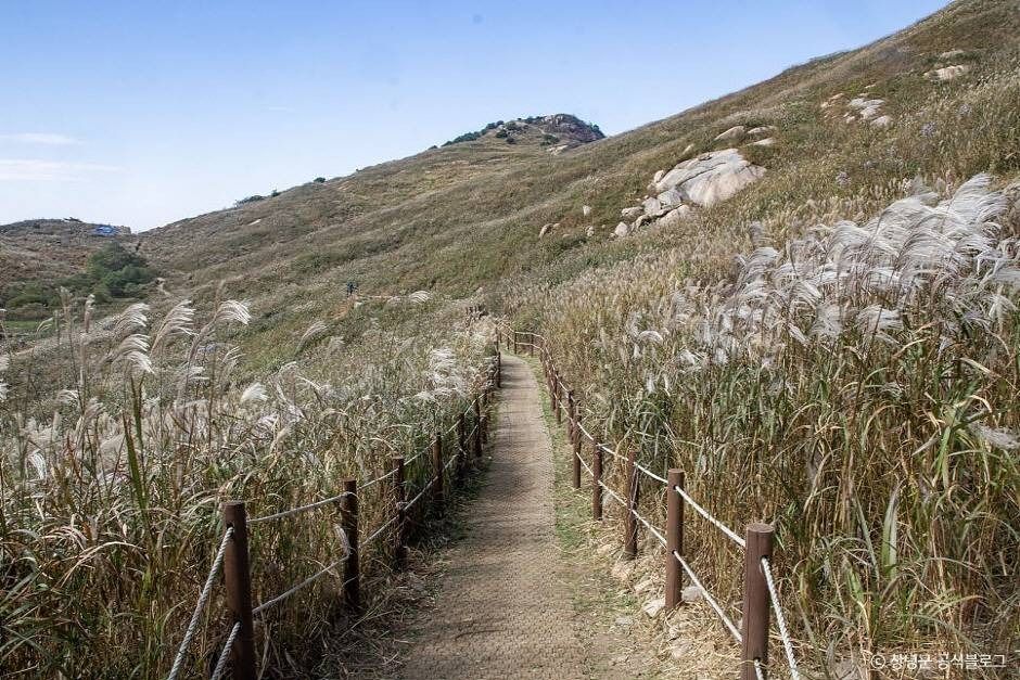 화왕산 전경