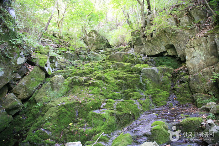 운장산 전경