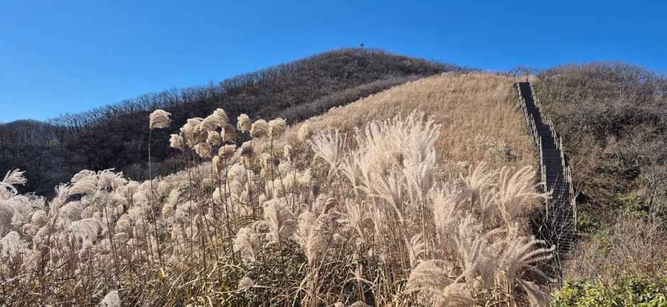 장안산 전경