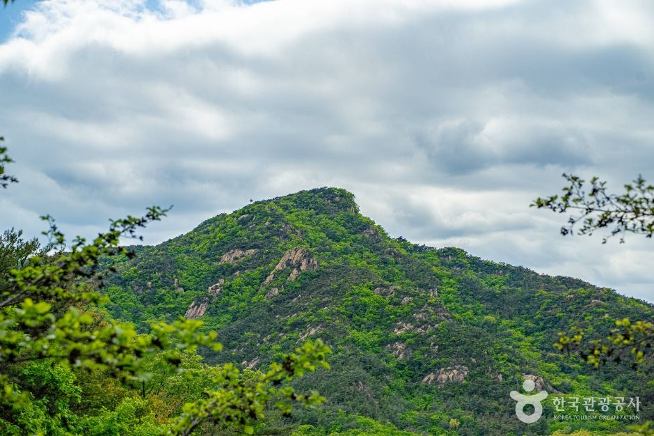 관악산 전경