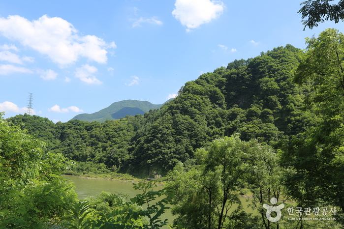 태화산 전경