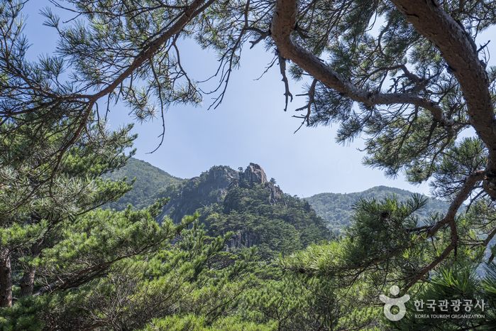 두타산 전경