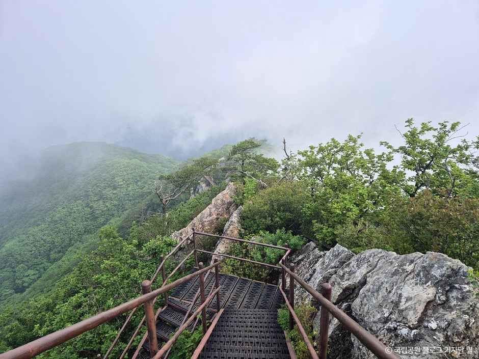 금수산 전경