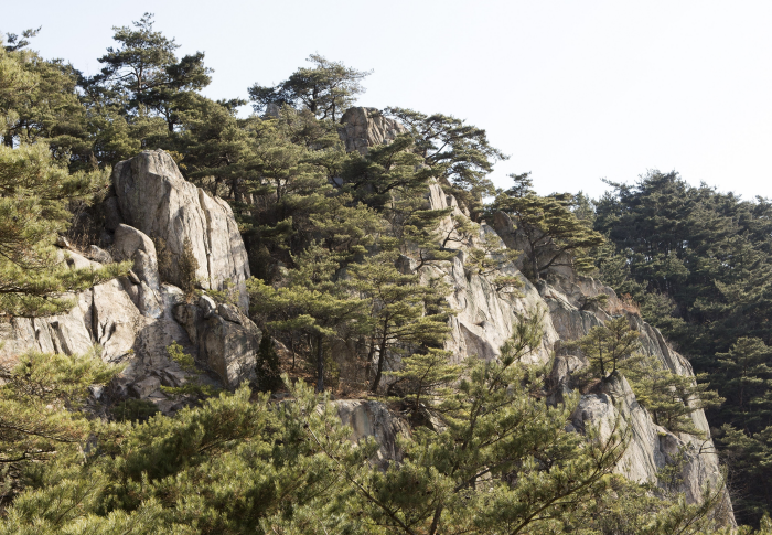 남산 전경