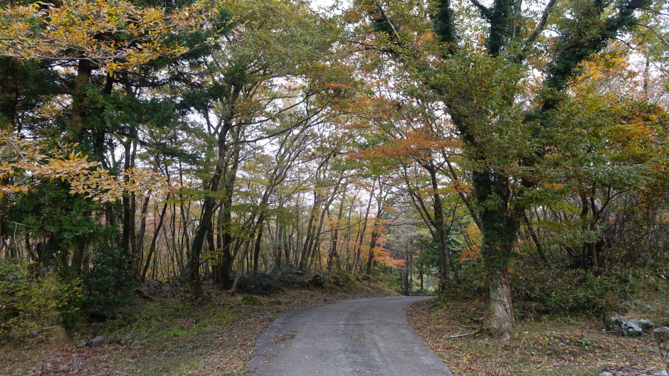 한라산 전경
