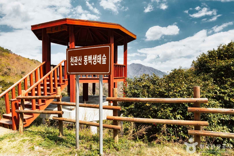 천관산 전경