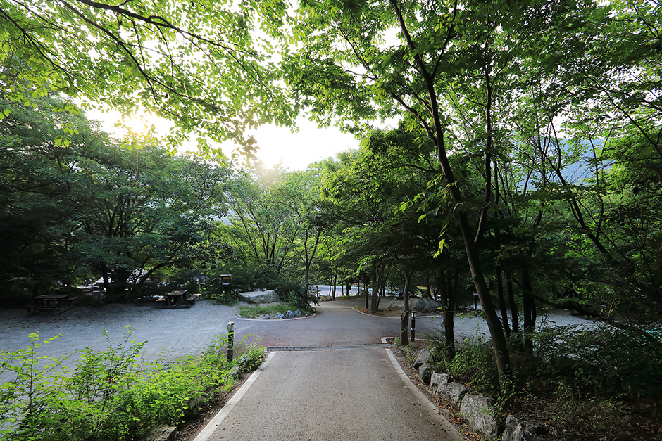 계룡산 전경
