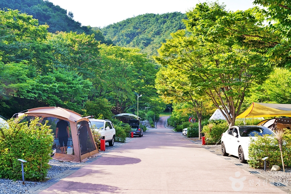 대둔산 전경