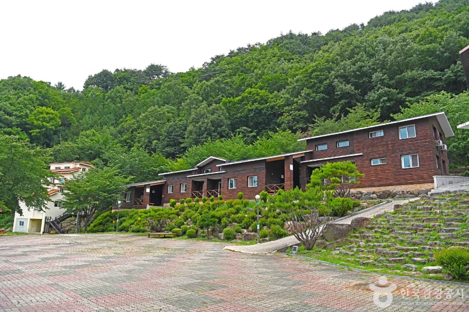 민주지산 전경