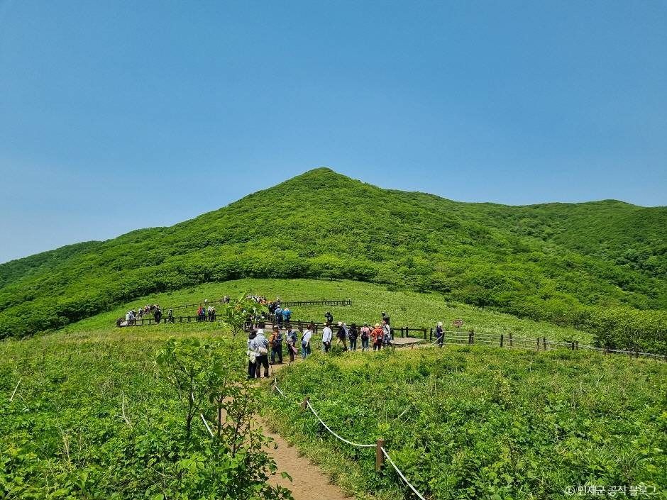 점봉산 전경