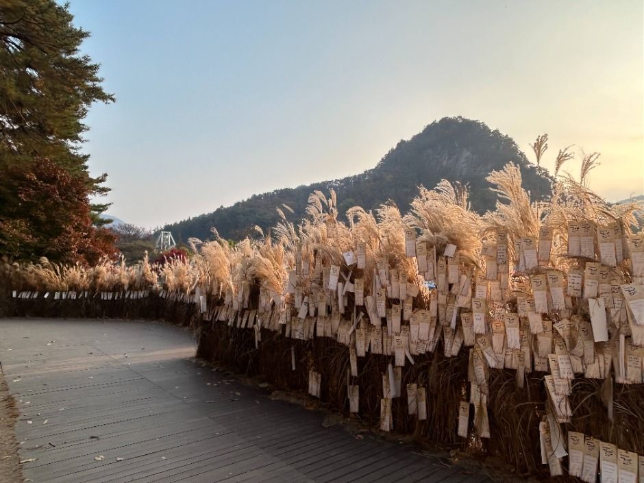 명성산 전경