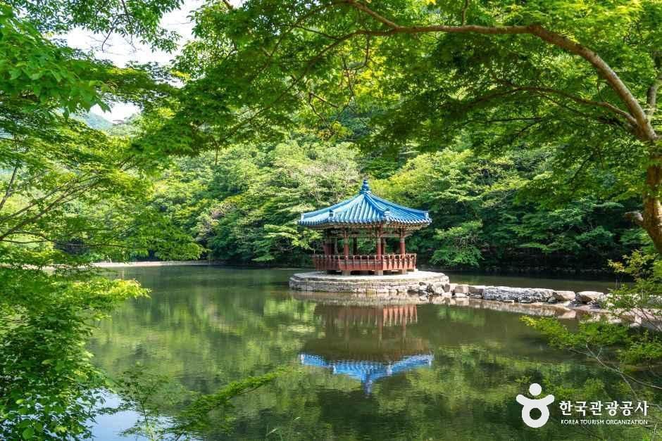 내장산 전경